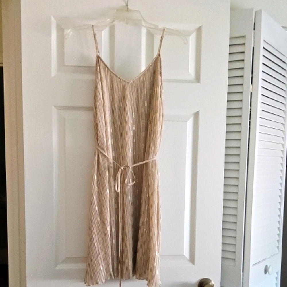 Express Tan Gold Slip Mini Dress Spaghetti Strap